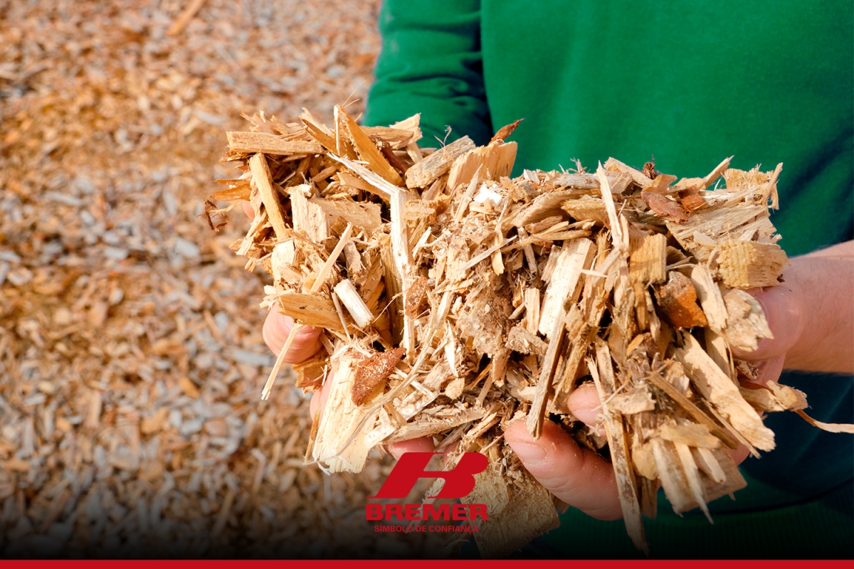 Saiba quais são as vantagens de uma caldeira que utiliza biomassa
