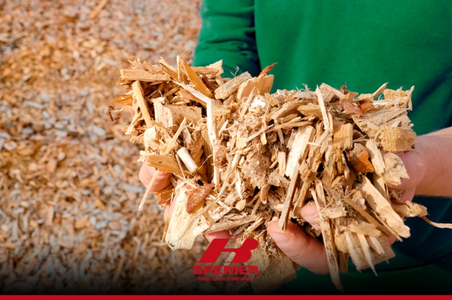 Saiba quais são as vantagens de uma caldeira que utiliza biomassa